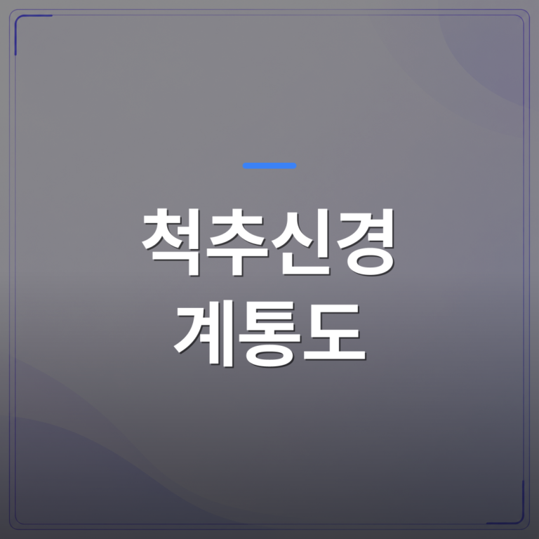척추신경 계통도 - 척추신경 계통도로 통증 원인을 빛으로 짚어주는 싸인보드, 진료실에서 이렇게 씁니다 | FLOWOOD