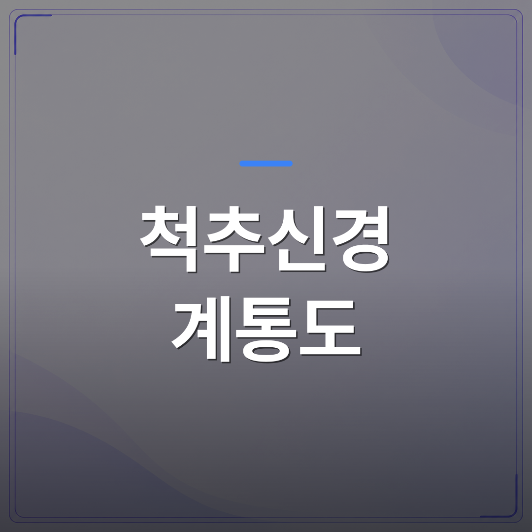 척추신경 계통도 - 척추신경 계통도로 통증 원인을 빛으로 짚어주는 싸인보드, 진료실에서 이렇게 씁니다 | FLOWOOD