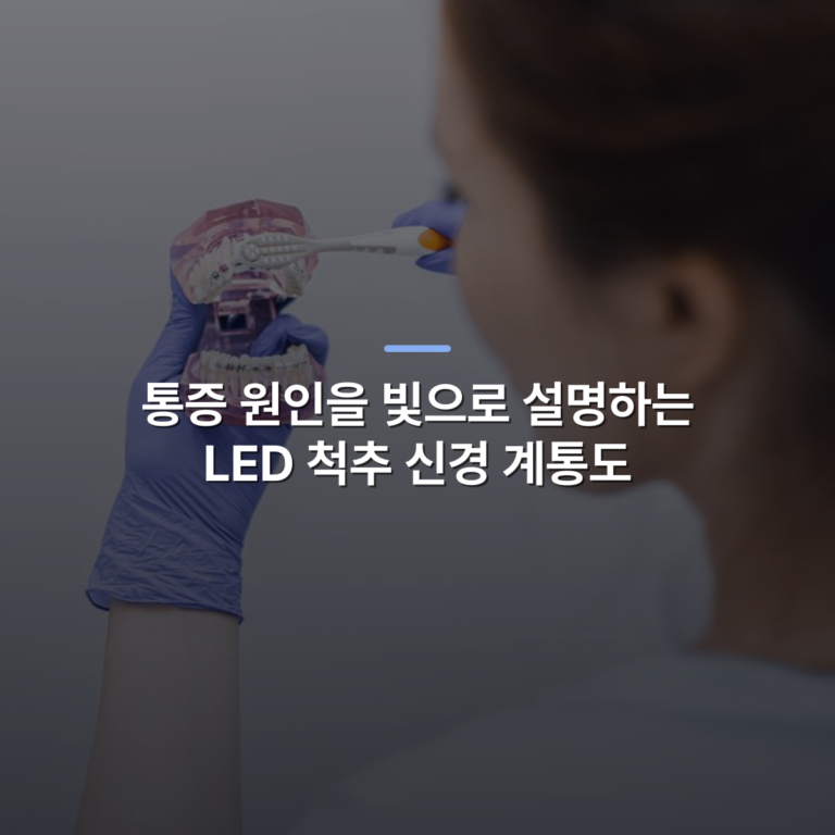 통증 원인을 빛으로 설명하는 LED 척추 신경 계통도 · 사진: Dentist demonstrating proper teeth brushing technique on a dental model for patient education.