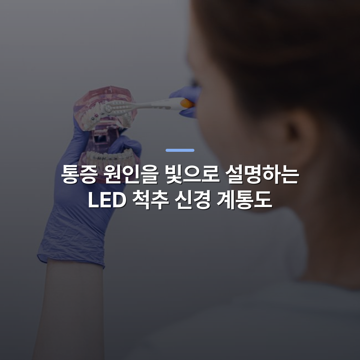 통증 원인을 빛으로 설명하는 LED 척추 신경 계통도 · 사진: Dentist demonstrating proper teeth brushing technique on a dental model for patient education.